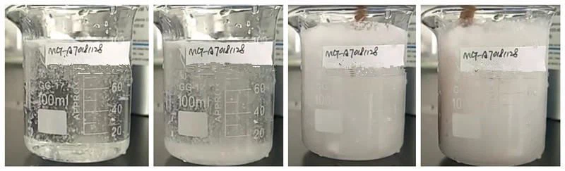 Coconut MCT Powder Coconut MCT Powder