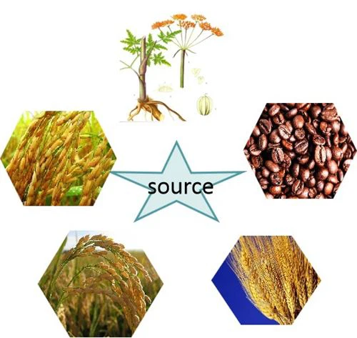 source