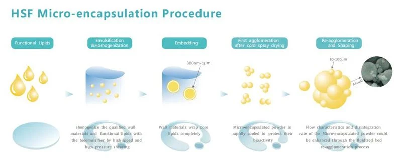 Micro-encapsulation