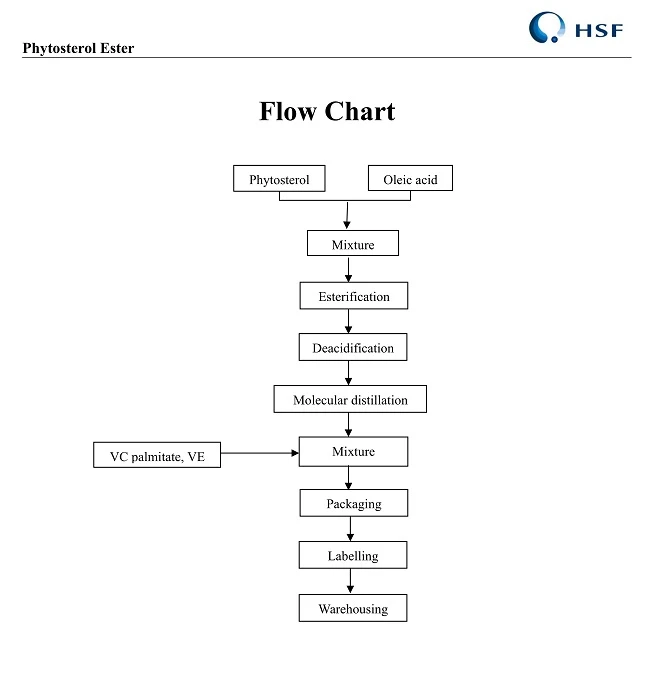 flow chart
