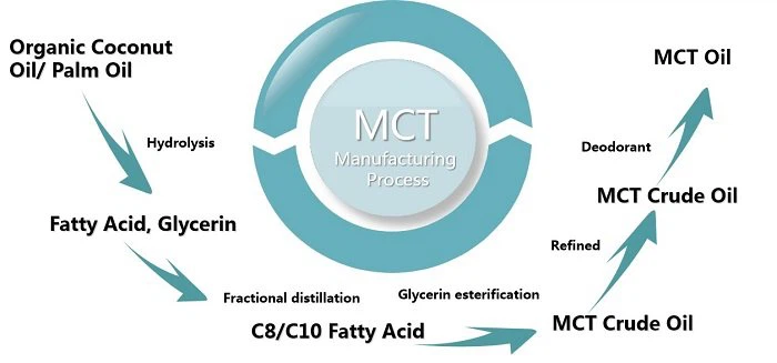 manufacturing process of MCT Oil