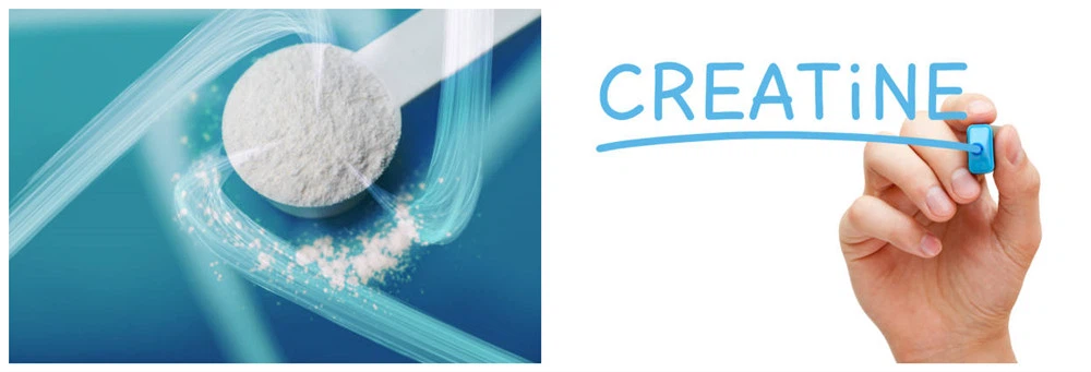 L-Carnitine Pure Powder L-Carnitine Pure Powder