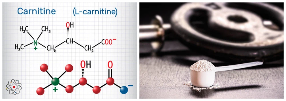 Chemical structural formula of L-Carnitine Chemical structural formula of L-Carnitine