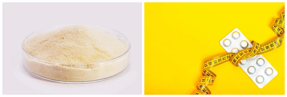 Dosage of L-Carnitine Dosage of L-Carnitine