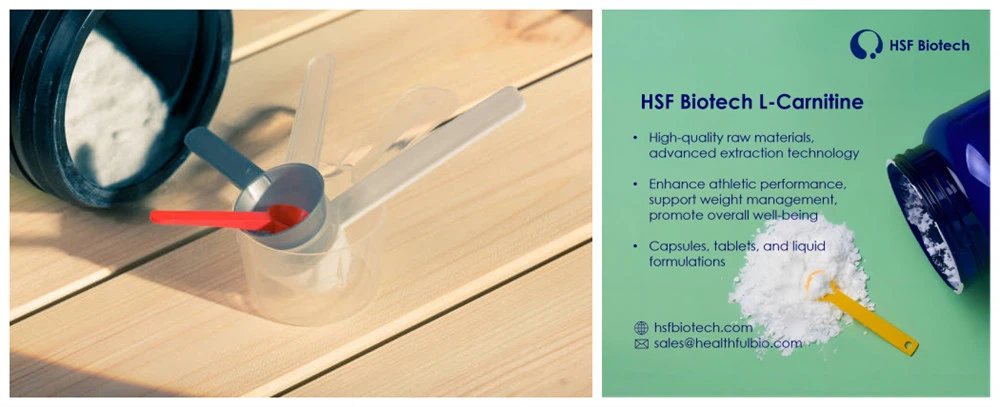 HSF - L-Carnitine HSF - L-Carnitine