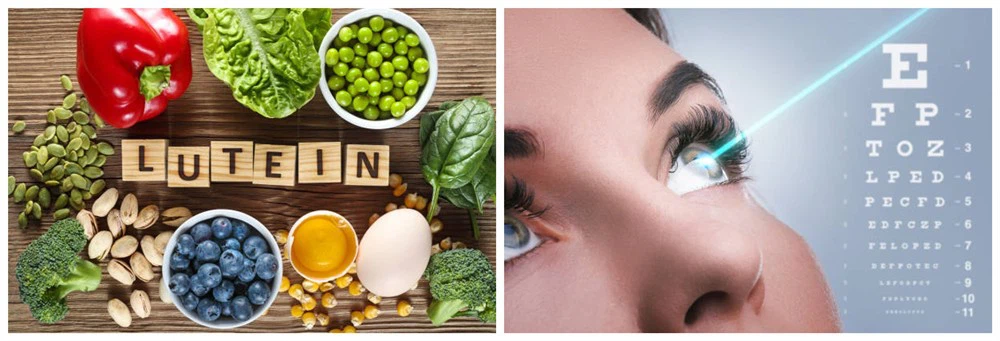 Lutein Ester for eyesight Lutein Ester for eyesight