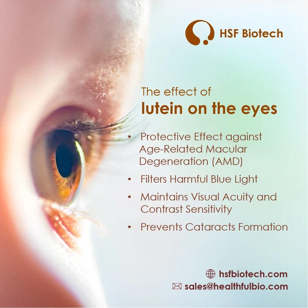 HSF - Lutein Ester HSF - Lutein Ester