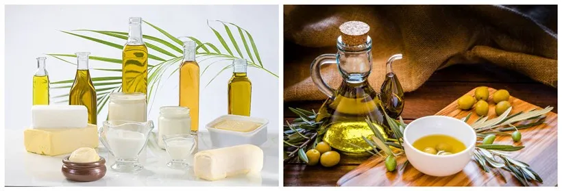 Fats and oils Fats and oils
