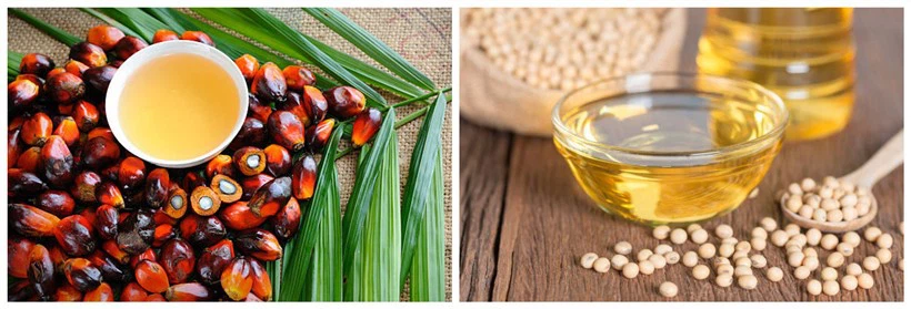 Fats and oils Fats and oils