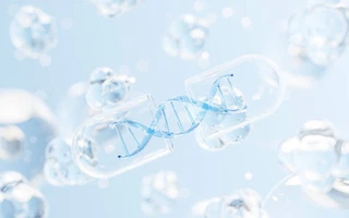 info-612-383 info-612-383