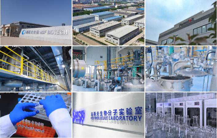 info-706-449 info-706-449