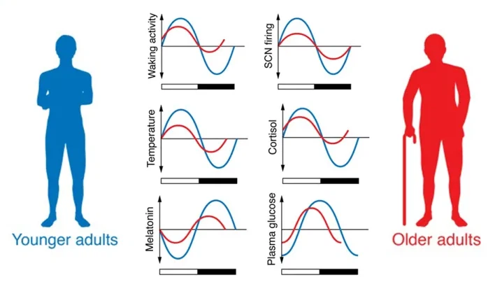 info-718-406 info-718-406