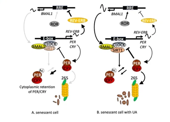 info-569-408 info-569-408