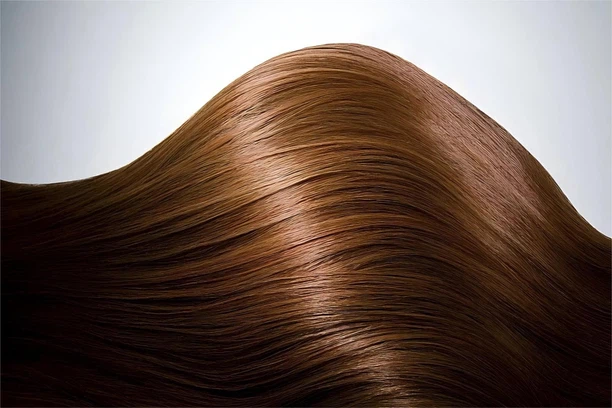 info-1600-1066 info-1600-1066