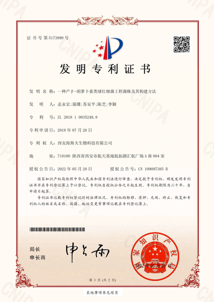 patent patent