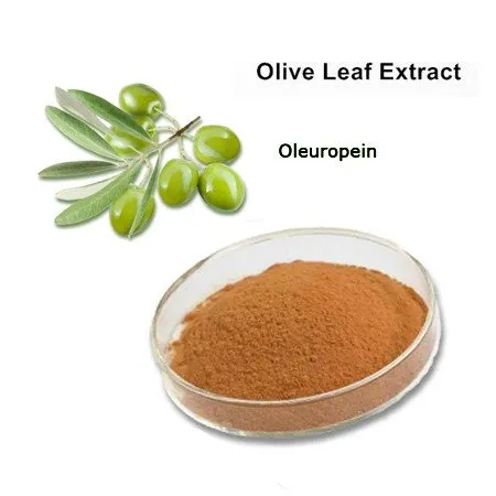 مسحوق Oleuropein