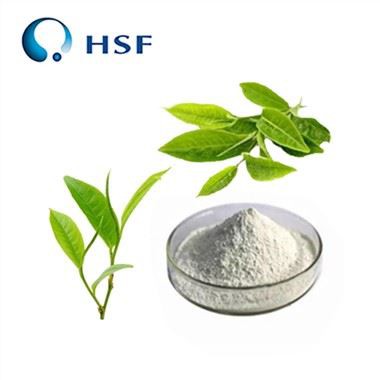 مسحوق L- الثيانين النقي